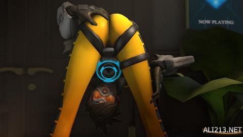 贝林厄姆 贝林厄姆