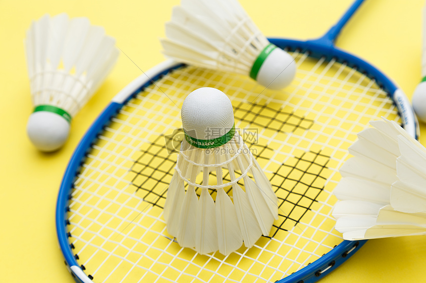 动的普及与 动的普及与