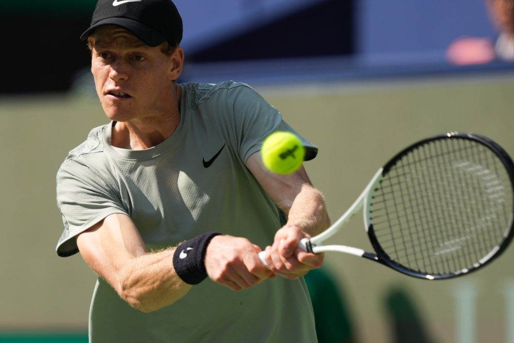 蒙德的桑乔 蒙德的桑乔